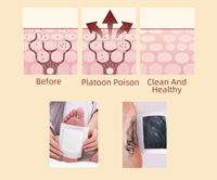 Patchs détoxifiants pour les pieds de haute qualité OEM ODM, à base de gingembre et d'herbes, pour nettoyer les pieds, soulager la fatigue, produit de soin des pieds pour un nettoyage en profondeur.