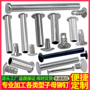 Tianyang Hardware Threaded Rivets Stainless Steel Snap Rivet Self Tapping Construction Industry Grade A Bright Uncoated - Product Image 4
