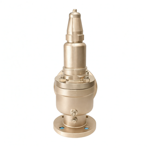 Vanne de sécurité à ressort en acier inoxydable 304 PN20, vente de liquidation B2B COVNA - Product Image 6