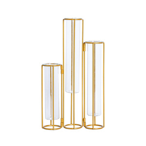 Soportes Metálicos para Flores, Macetas Hidropónicas con Tubos Transparentes, Decoración para Interiores, Venta Caliente - Product Image 1