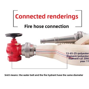 Hydrant d'incendie intérieur SNW65-I, régulateur de pression rotatif stabilisateur 2/25 pouces en fonte, personnalisable pour la lutte contre l'incendie - Product Image 4