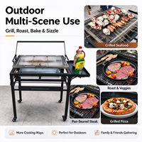 Barbecue au charbon de bois pliable multifonctionnel portable pour barbecue en plein air et rôtissage de poisson