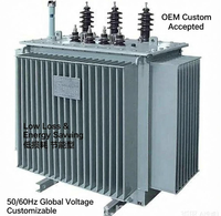Transformateur de distribution immergé dans l'huile 30kVA-3150kVA à faibles pertes, économie d'énergie, OEM personnalisé pour l'alimentation des usines et des systèmes photovoltaïques