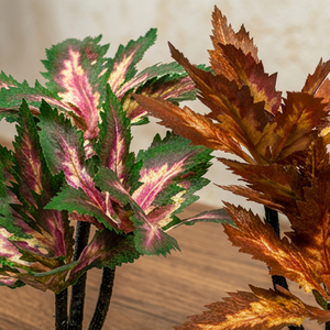 Ensemble de plantes succulentes artificielles tropicales variegées en pot, décoration intérieure, bureau, table, idée cadeau, qualité supérieure - Product Image 4