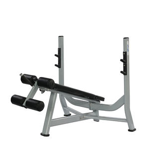 Panca Decline Press Befreeman per Allenamento con Pesi, Attrezzatura per <span class=keywords><strong>Palestra</strong></span> e Forniture per Club Fitness - Product Image 1