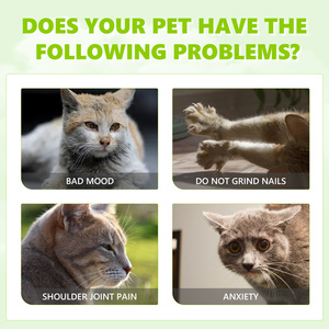 Yegbong Catnip Spray, alleviare l'ansia del gatto e migliorare la vitalità degli animali domestici Spray per la cura della salute - Product Image 4