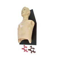 Modèle de formation en endoscopie bronchique avancée en sciences médicales, simulateur humain, prix, simulateur de bronchoscopie médicale