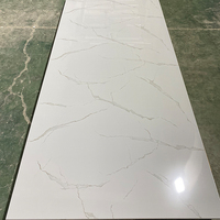 Résistance à haute température Faible coût de décoration Panneau UV Panneau mural en PVC Feuille de marbre en PVC