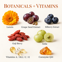 OEM ODM Lutéine Plus Myrtille Pépins de Raisin Baies de Goji Vitamines A C E Capsules de Nutrition Oculaire Complément Alimentaire Vente en Gros
