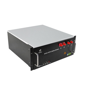 נטענת 48V 100AH מתלה סוג ליתיום יון סוללה פנל סולארי מופעל באנרגיה אחסון מתלה LiFePO4 שמש סוללה - Product Image 3