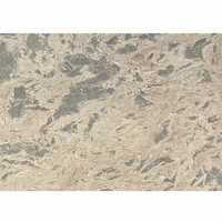 Dalles de marbre naturel pour tables à manger, comptoirs d'îlots de cuisine, tables basses, murs décoratifs de salon, escaliers, salles de bain