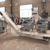 Ligne de production automatique de décorticage de noyaux de palme, d'abricot, de noisette et d'amande, capacité 300kg, 500kg, 1000kg