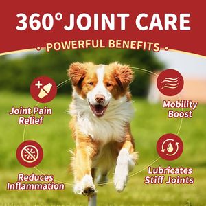 Suplemento de Glucosamina y Condroitina para Perros - Masticables Blandos Sin Granos de Rápida Absorción para Aliviar el Dolor de Cadera y Articulaciones - Product Image 2