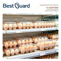Barquette en plastique pour œufs, personnalisée, de qualité alimentaire, en PET, jetable, pour le transport et l'emballage des œufs de poule