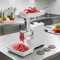 Hachoir à viande électrique à interrupteur unique 600 W max, moteur en cuivre et aluminium, 3 plaques, tube à saucisses, fonction inversée, pour usage domestique