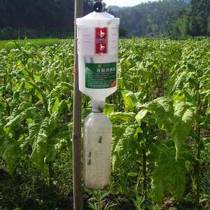 Trampa Líquida Ecológica para <span class=keywords><strong>Gusano</strong></span> del Tabaco (Spodoptera Litura), Solución Agrícola para Invernaderos y Exteriores - Product Image 6