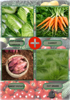Cortadora de Verduras Multifuncional, Máquina para Cortar en Cubos, Máquina para Cortar Tomates en Cubos, Máquina para Cortar Verduras