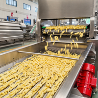 Yumai Factory Direct Fully Automatic Frozen French Fries Processing Machine French Fry Production Line