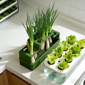 Hydroponic Scallion Grower 15.5x6x7.5cm Soilless Desktop Planting Box For Home Use - Product Image 2