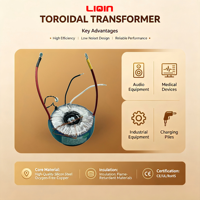 Transformateur toroïdal en cuivre monophasé 20VA-3000VA, entrée 110V/230V, sortie 24V/12V/36V, 50/60Hz pour alimentation électrique