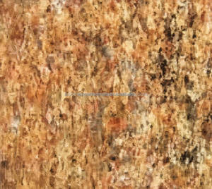 Carrelage en granit jaune indien, écologique, durable, poli, design traditionnel pour l'intérieur/extérieur de la villa, pour le salon - Product Image 5