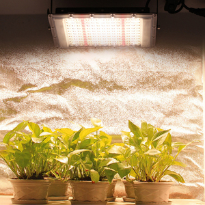 Lâmpada <span class=keywords><strong>LED</strong></span> de crescimento de plantas de espectro completo para cultivo de mudas, flores e suplementos de plantas, luz de cultivo - Product Image 2