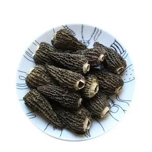 Gesunde Lebensmittel Trockenmorellpilz Shiitake getrockneter schwarzer Morellpilz