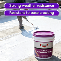 Peinture acrylique imperméable pour murs, sols en béton ou toitures, peinture d'étanchéité à base de résine acrylique