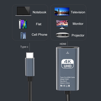 Carte de Capture Vidéo HDMI Type C vers HDMI Femelle, Adaptateur de Câble pour Enregistrement Vidéo de Jeu, Sortie 8K 4K 1080P 60Hz 30Hz