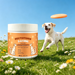 Masticables Multivitamínicos OEM 15 en 1 para Perros de Todas las Edades, Sabor a Salmón | Suplemento Multivitamínico y de Apoyo Nutricional - Product Image 1