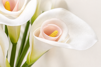 Fabrik-Großhandel Handgefertigte Moderne Realistische PU Calla-Lilien Künstliche Blumen mit Langem Stiel für Hochzeitstisch und Heimdekoration