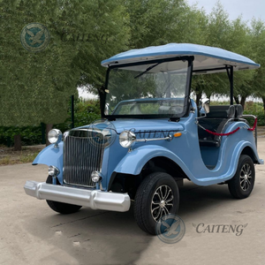 <span class=keywords><strong>Voiture</strong></span> de golf classique vintage à batterie, pour transport tout-terrain spécial, bus de ville touristique, <span class=keywords><strong>voiture</strong></span> de club, à <span class=keywords><strong>prix</strong></span> bas - Product Image 6