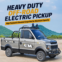 Mini camion électrique à 4 roues avec caisse de chargement fermée, véhicule utilitaire à double usage pour le transport agricole