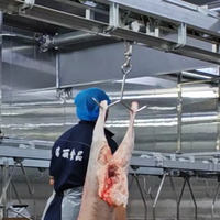 Équipement d'abattoir halal pour moutons et chèvres, machinerie de transformation complète pour carcasses de mouton, abattoir