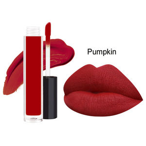 All'ingrosso lucidalabbra personalizzato trucco No Logo lucidalabbra Private Label rossetto opaco lunga durata rossetto liquido - Product Image 4