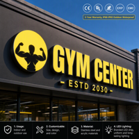 Panneaux d'affichage extérieur pour devanture de magasin, enseignes publicitaires, lettres métalliques 3D, logo LED personnalisé pour salle de sport, panneau d'enseigne LED pour entreprise