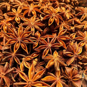 Star Aniseed Food Flavohot Potle Especias Semilla de anís estrellado para condimentos Opot Condimentsg 100 g/bolsa 100g Pieza de cartón de alta calidad - Product Image 5