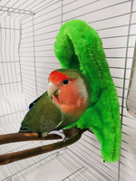 Hamac d'hiver en peluche doux pour oiseaux Cage pour perroquet lit suspendu pour perruche grotte cachette tente pour animaux de compagnie nid d'oiseaux fournitures