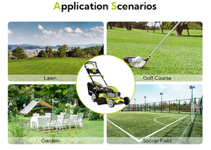 Self Propelled Lawn Mower 22 Inch Cutting Width CE V Approved <b>Gasoline</b> for Garden Yard Maintenance BJXPM56--196 Garden Lawn Mowe - Product Image 4