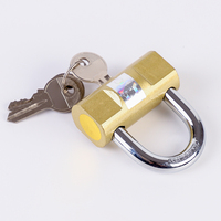 Nouveauté, prix bas, cadenas en fer plaqué laiton personnalisé de haute qualité avec 3 clés, haute sécurité