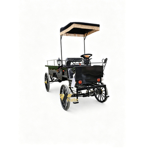 Carroza Fúnebre Eléctrica con Toldo y Remolque para Pasajeros - Product Image 1