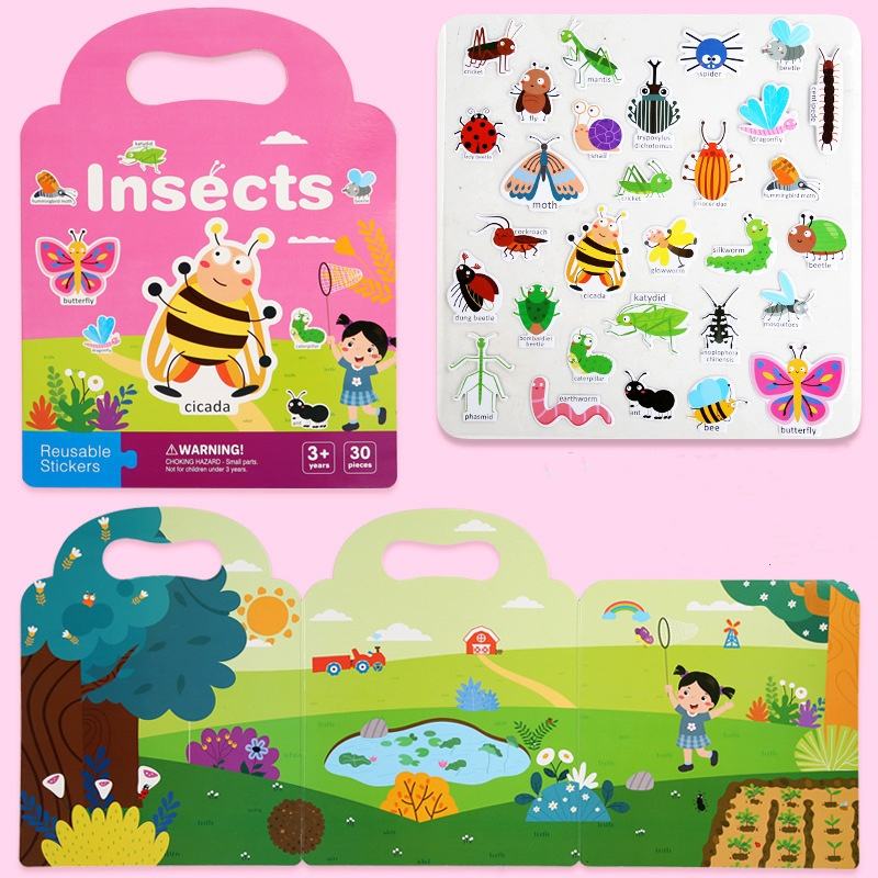 Insects