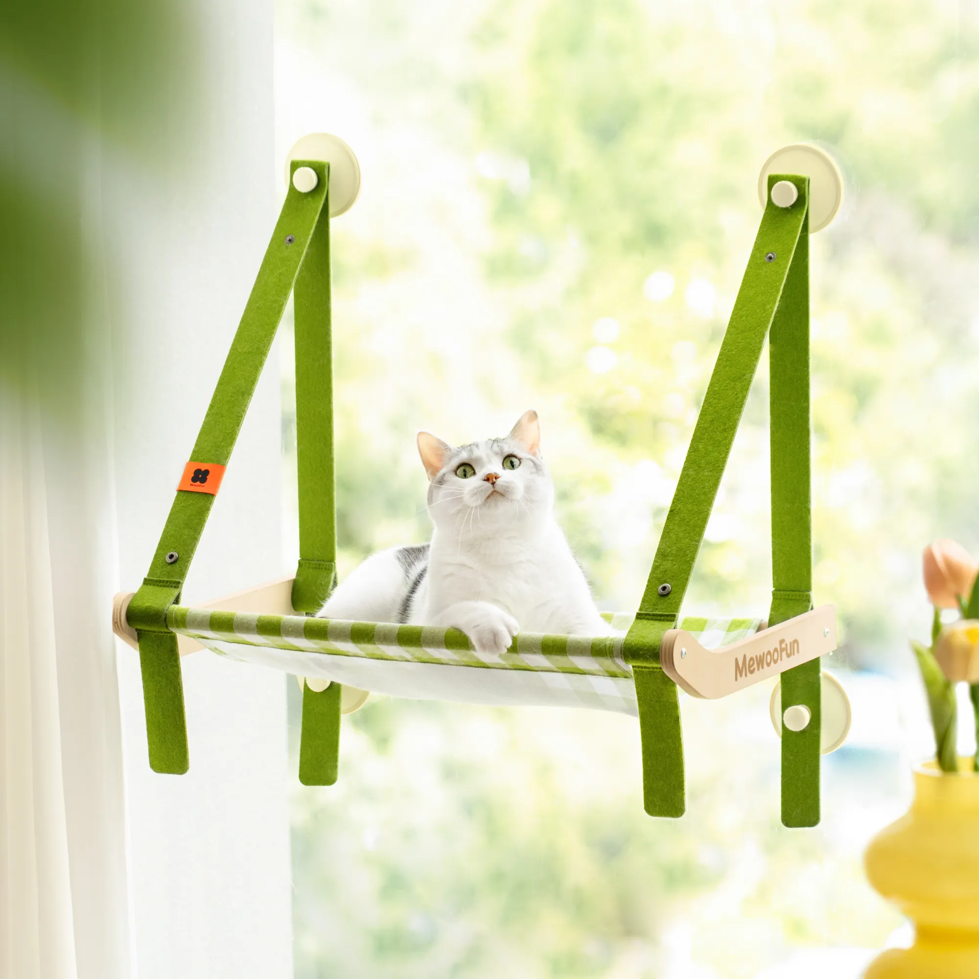 मवूलमज़ेदार थोक बिल्ली खिड़की पेर्च के साथ खम्मक बिस्तर सीट को बचाने वाली दीवार माउंट पालतू जानवर बिल्ली