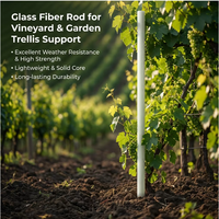 Support de grimpement pour jardin et vignoble, résistant aux intempéries, haute résistance, léger, sans entretien, en fibre de verre durable pour la coupe des plantes
