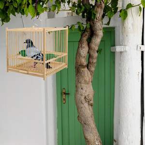 8.07 pouces carré Beige bambou <span class=keywords><strong>cage</strong></span> à oiseaux perle décor solide intérieur bois nichoir pour petits oiseaux y compris mangeoire tasses suspendus - Product Image 5