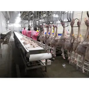 Ligne de processus d'abattage automatique en abattoir de poulets volailles équipement d'abattage pour abattoir