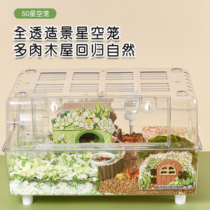 Maisonnette en bois décorative pour hamsters - Série Peeping - Jouet pour hamsters dorés et hamsters nains - Abri cachette - Product Image 5