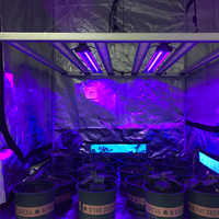 Lampe de croissance led uv complémentaire, éclairage pour les plantes d'intérieur, 6 w, 20w, 30w, cree uva, 385nm, 395nm, application rapide, chine