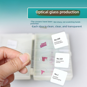 Cistadenocarcinoma seroso papilar ovárico de Educación Superior, <span class=keywords><strong>Ciencia</strong></span> Médica, sección patológica, juego de portaobjetos de microscopio de vidrio - Product Image 5