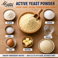 Poudre de levure active jaunâtre pour un arôme riche, largement utilisée pour les formules de pain, de pains à la briquette et de pâtisseries fermentées